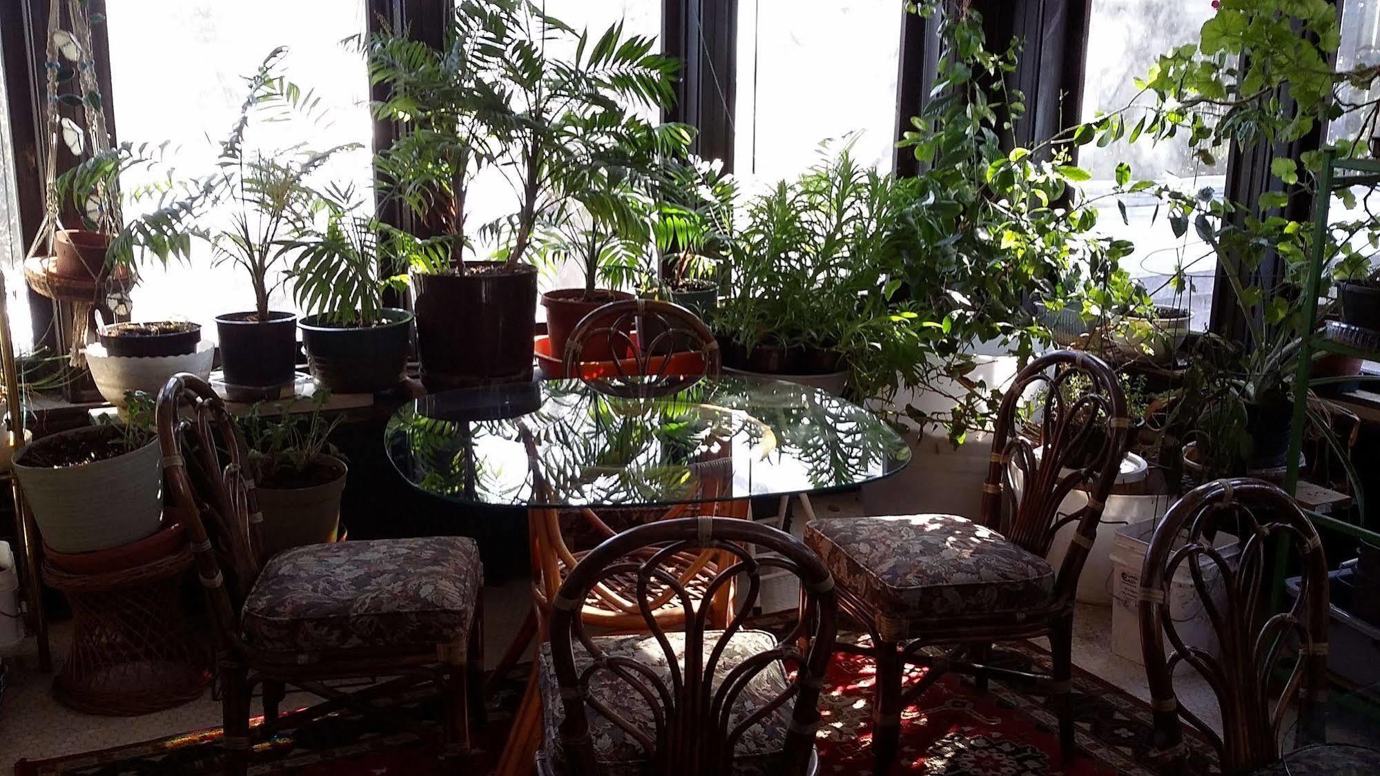 Chestnut Charm Bed & Breakfast Atlantic Exteriör bild